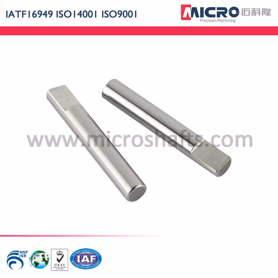 Customized High Precision CNC Machining Stainless Steel Micro Shaft for Motors Medical Power Tools with IATF Certification