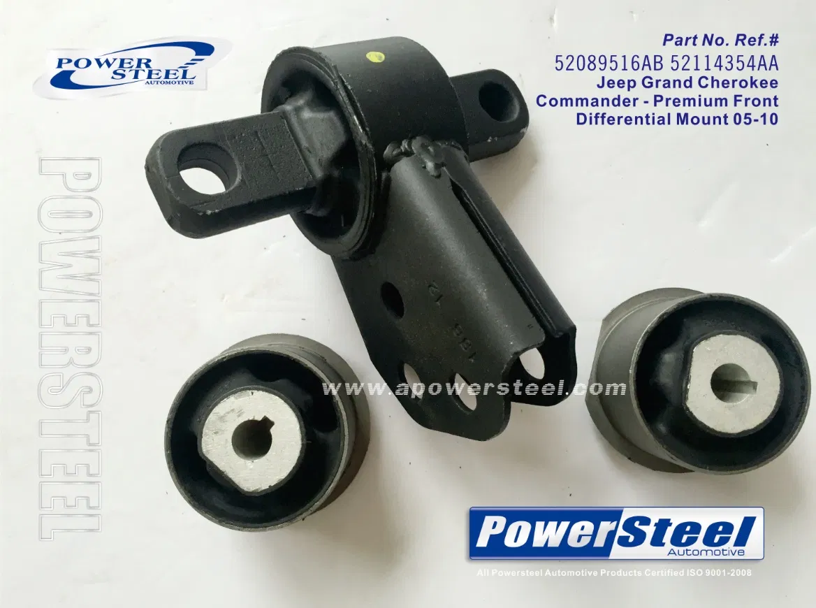 Differential Mount 05